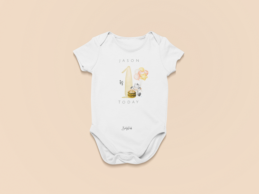 baby dress half sleeves