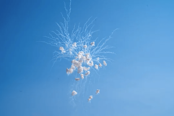 What Happens When the Fireworks Are Just Too Loud?