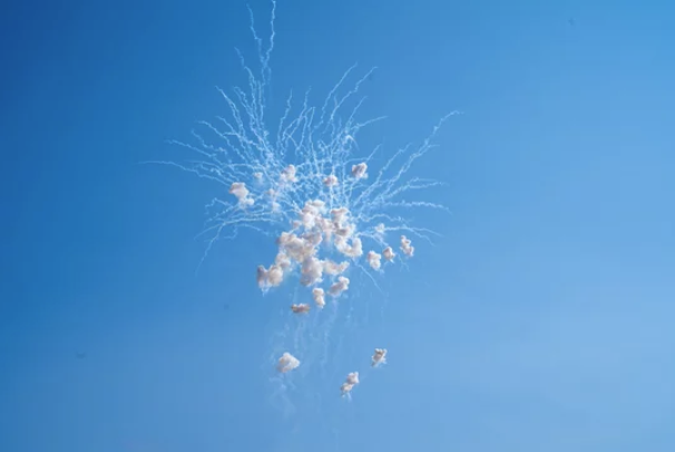 What Happens When the Fireworks Are Just Too Loud?