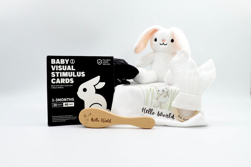 baby visual stimulus cards